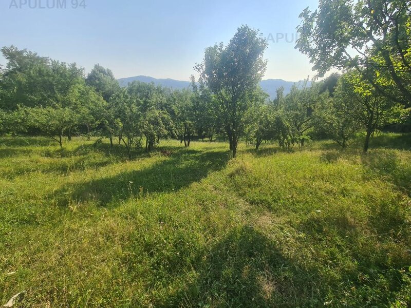 Teren de vanzare in Breaza - Zona Capul Campului