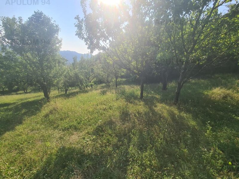 Teren de vanzare in Breaza - Zona Capul Campului